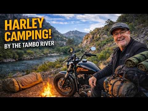 Solo Motorcycle Camping With My Harley Davidson