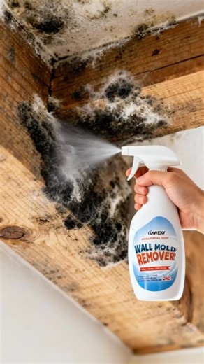😱 Mold? Gone in seconds! Just spray, wait, and wipe — watch stubborn black mold vanish before your eyes! 👀✨ No scrubbing. No mess. Just a clean, fresh wall again. 💧 Safe, non-toxic, and works on tiles, walls, bathrooms & more! 👉 Try it once — you’ll never fear mold again! 🧽 https://www.statisticsm.com/products/fast-acting-anti-mold-wall-cleaner-spray | Statisticsm