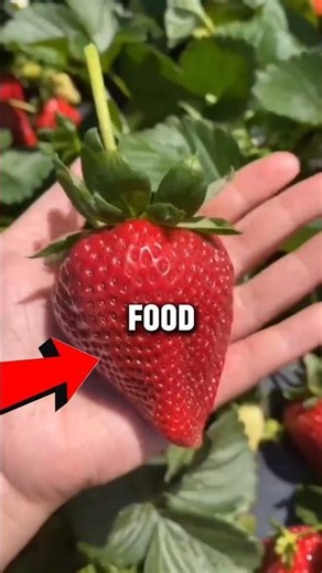 Healthy vs Unhealthy Strawberry 🍓 | Fresh vs Processed Strawberry Facts