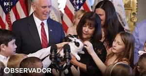 Marlon Bundo, o coelho gay criado para irritar Mike Pence