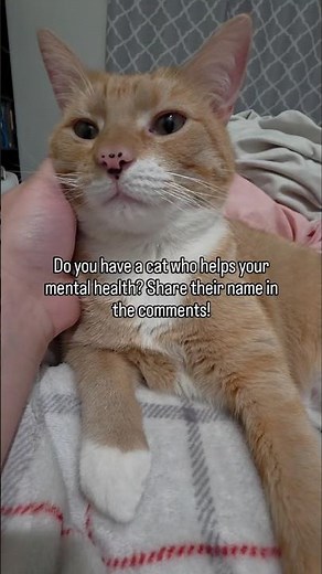 Do you have a cat who helps your mental health? Share their name in the comments!
