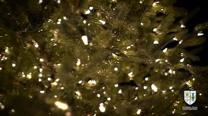 11K views · 269 reactions | ❄️ BIG NEWS: We've made it to the Semi-Final Round of the B101 Christmas Choir competition! ❄️ Tune in this Wednesday on B101.1FM to hear CEC's submission, "Winter Wonderland" and voting will be open until 9 p.m. that day! We need your support to keep going! Happy listening and Merry Christmas! #SOAR | Conwell-Egan Catholic High School | Facebook