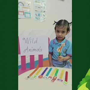 Learning the different types of birds