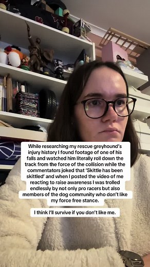 Greyhound Racing Injury Awareness: A Rescue Dog's Story