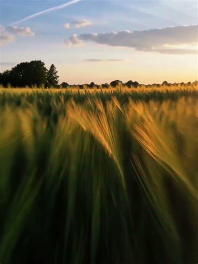 Ask yourself, is time really the best healer? #Interstellar #time #nature