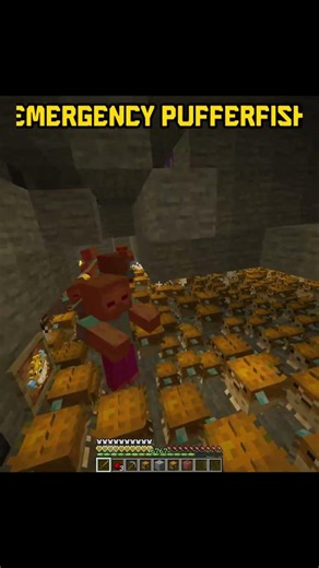 Minecraft Emergency Pufferfish