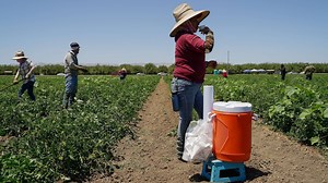 How extreme heat is bad for your health