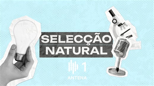 Selecção Natural