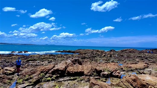 The Year 9/10 Planet Blue students embarked on an exciting full-day excursion to the Solitary Islands Aquarium in Coffs Harbour, where they deepened their understanding of marine science and conservation through hands-on experiences in the Fish Biology Lab and the Rocky Shore Field Study. | Clarence Valley Anglican School