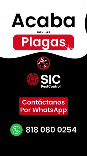 ¡Acaba con las plagas en Monterrey hoy mismo!