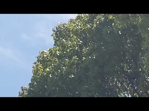 Kathmandu university: central building: dhulikhel: kavre: nepal: 28kilo: buspark: 1 km: 