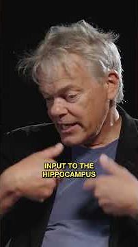 How do you find a brain cell nobody knew existed?