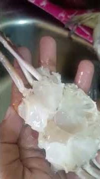 Easy ah Nandu clean panna theriyuma? 🦀🔥Indha simple method try pannunga 😍 #crab#crabcleaning#cooking