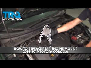 How to Replace Rear Engine Mount 2014-2019 Toyota Corolla