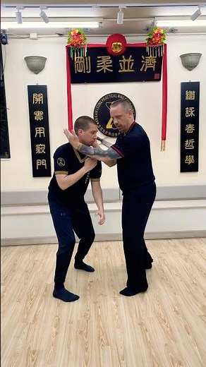 Demonstrating Siu Lim Tao in action and continuous movement flow. #martialarts #kungfu #wingchun