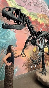 Sometimes you just need a little something to take the edge off. Nat at Night is tonight. Rooftop sunset, drinks, food, and half-off after 5 PM. What more do you need? Get your tickets, link in bio. #TheNat #HereForNature #NatAtNight #NaturalHistory #Museum #Museums #NaturalHistoryMuseums #Nature #NightAtTheMuseum | San Diego Natural History Museum