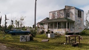 Ace Ventura Un Detective Diferente.720.bdrip.lat