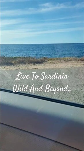 Live To Sardinia Wild. It' a February! #sardinia #wild #winter #february #2026