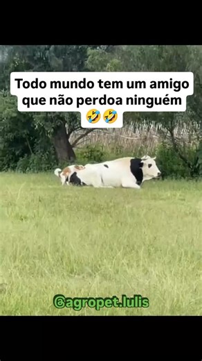 Gabriel Rosetti de Souza | #reelsviral #viralvideos #cachorro #cachorros #viralreels #vaca #amigo | Instagram