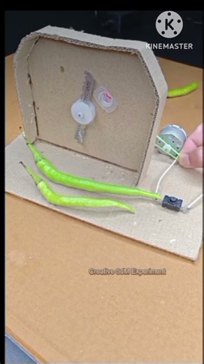 Chilly cutter machine power test | #dcmotor #tech #youtubeshorts #dcmotorproject