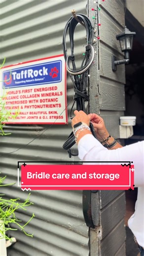 Bridle Care: Essential Tips for Long-lasting Gear