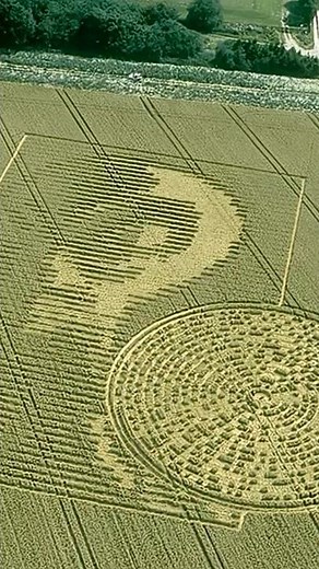They Decoded a Crop Circle… and the Message Was Chilling