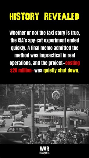 CIA’s “Spy-Cat” Experiment—The $20 Million Project Quietly Shut Down