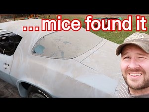 FORGOTTEN! What's Left Of Dad's Car After Sitting For 16 Years?? (81 Camaro Z28)