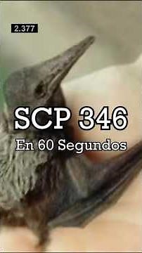 SCP 346 en Resumen - "Pterry el Pterodáctilo"