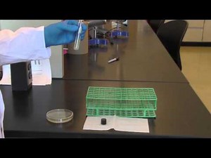 BIO 2192 UNIT 3 - Transferring organism from a Petri dish to a Slant