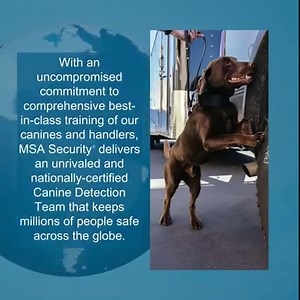 25 reactions · 10 comments | MSA Security®, an Allied Universal®...