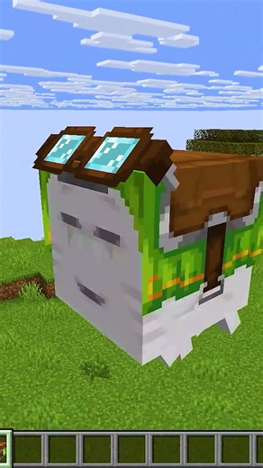 Minecraft Things You Didn't Know Existed! #minecraftjava #minecraft #minecraftmemes