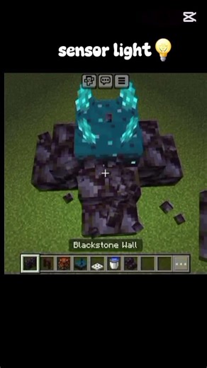 Easy Redstone Sensor Light Build in Minecraft
