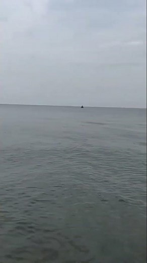 Monroe, Michigan - William C. Sterling State Park 1