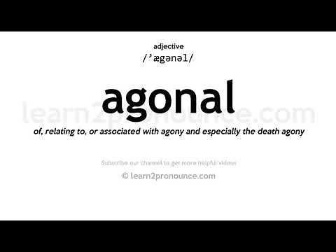 Pronunciation of Agonal | Definition of Agonal
