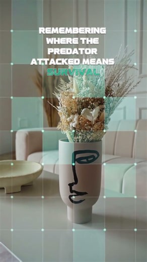 Why One Insult Haunts You for Years (Negativity Bias)