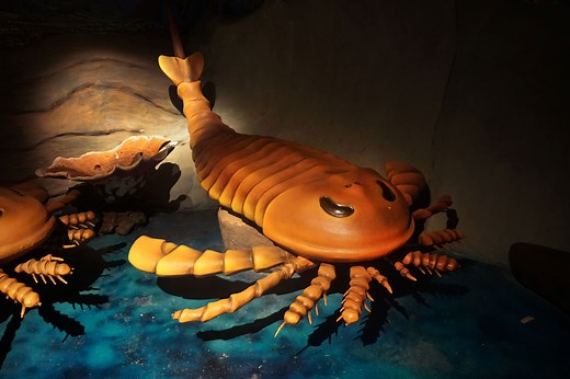 World's Largest-Ever Scorpion Outsized Humans And Was Found In The U.S.
