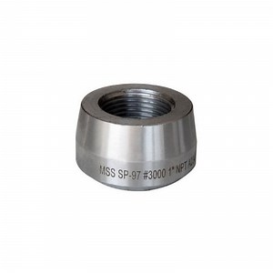 [Hot Item] High-Strength 1 Inch 3000lbs Carbon Steel Threadolet for NPT Fittings