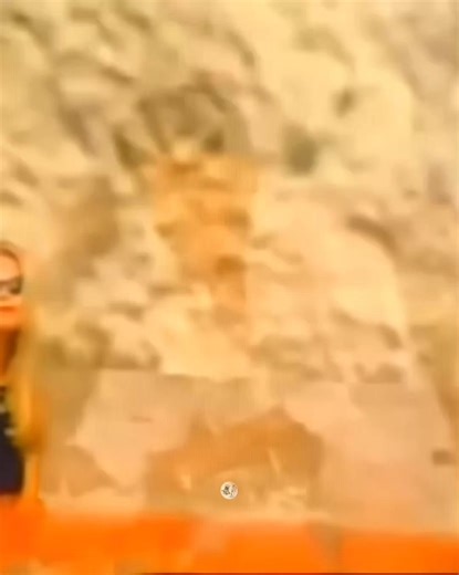 Müslüm Baba ve İbrahim Tatlıses: Türk Müziği Efsaneleri