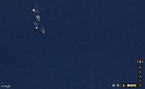 Picture of the Day: Pod of Whales on Google Maps