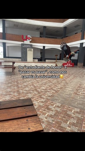 🫩#fypシ゚viral #paratii