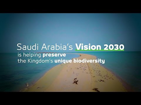 Protect our environment. Protect our present. Protect our future. | Sustainable Saudi Vision