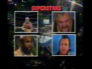 WWF Sky Ads Compilation Vol. 11 (1985-1992)