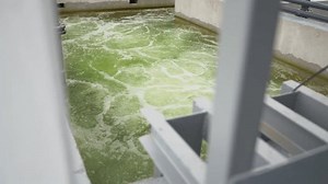 Biological Treatment Process Aeration Basin Closeup Stock Footage Video (100% Royalty-free) 3447169773 | Shutterstock