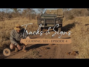 How to identify, differentiate and read animal tracks & signs | Guiding 101 l EcoTraining