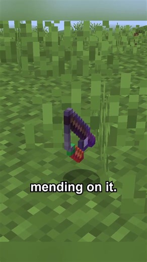 carrot on a stick!!!!!!!!!!!!!!!!!!