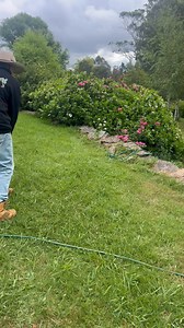 78K views · 722 reactions | I’ve been everywhere today Illawarra shoalhaven & back to the highlands & I’m stalking highlands copperheads in Avoca  | Southern highlands & south coast snake catchers | Facebook