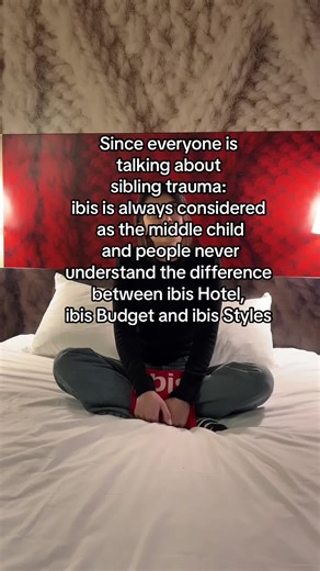 Understanding the Difference: ibis Hotel Gare du Nord Lafayette