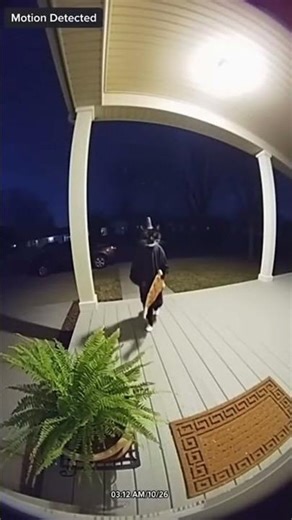 A motion alert at three in the morning is a homeowners worst nightmare