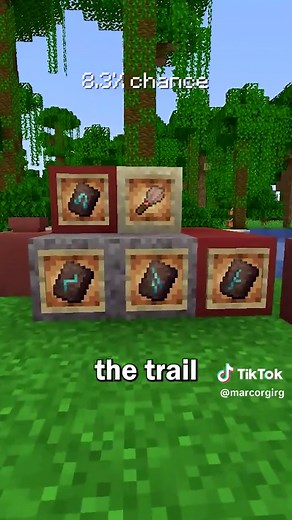 Where to Find All Armor Trims in Minecraft